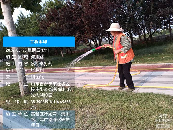 绿化养护项目